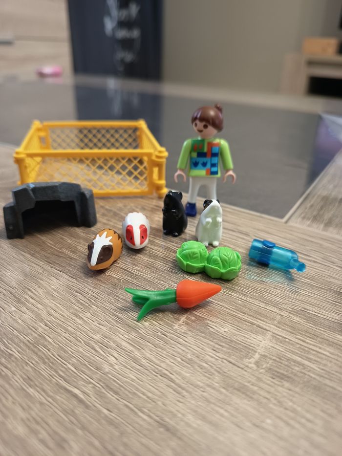 Playmobil spécial plus 4794 fillette avec cochon d'Inde