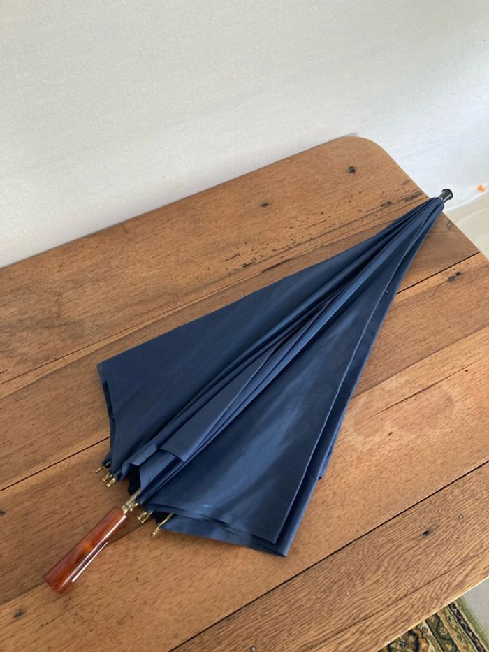 Parapluie bleu - photo numéro 5