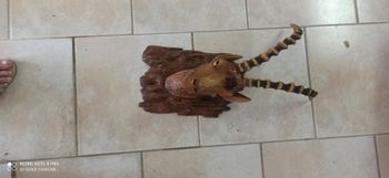 Decoration bouquetin