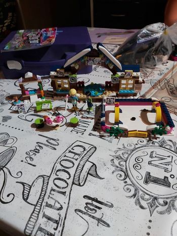 Lego friends la patinoire