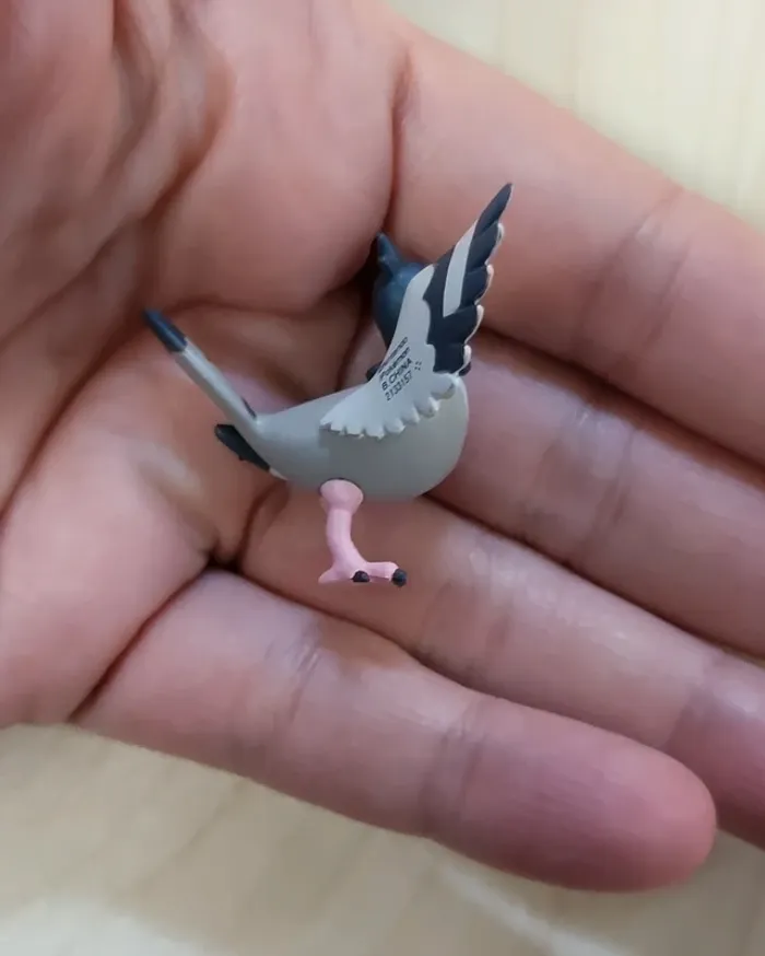 Mini figurine Pokemon : Colombeau / Hatoboh / Tranquill - photo numéro 4