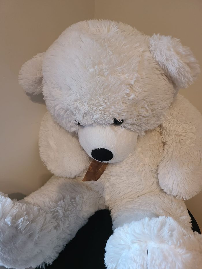 peluche ours - photo numéro 3