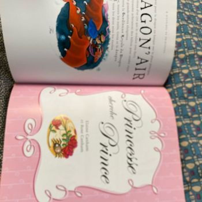 Grand livre 6 histoires de princesses pas comme les autres Rouge et Or - photo numéro 6