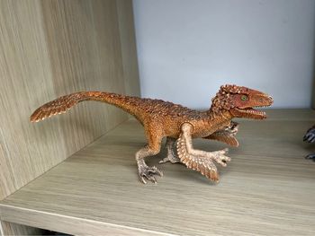 Dinosaure Raptor a plume schleich