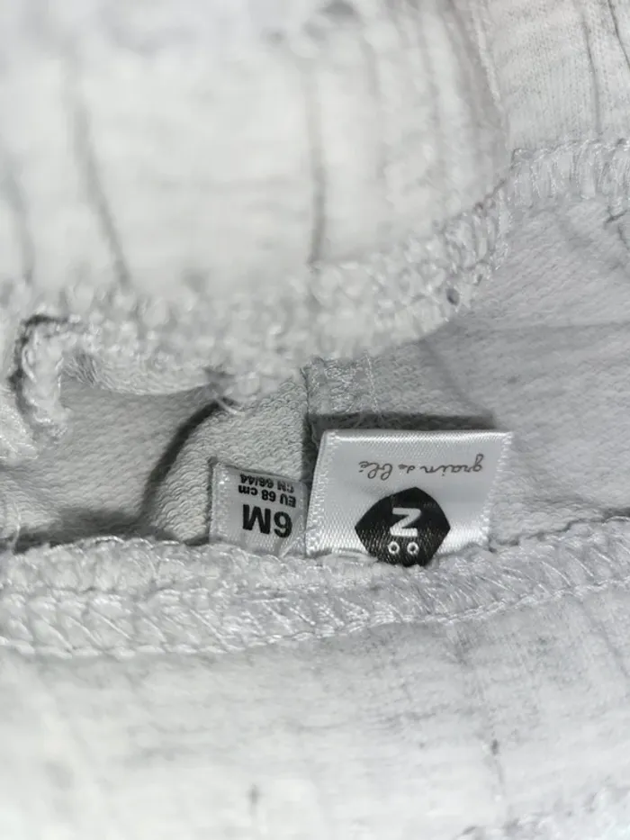 Short grain de blé. - photo numéro 2