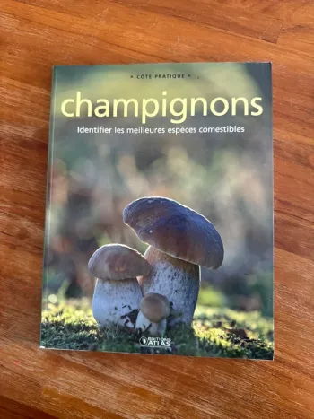 Livre champignons, identifier les meilleurs espèces comestibles
