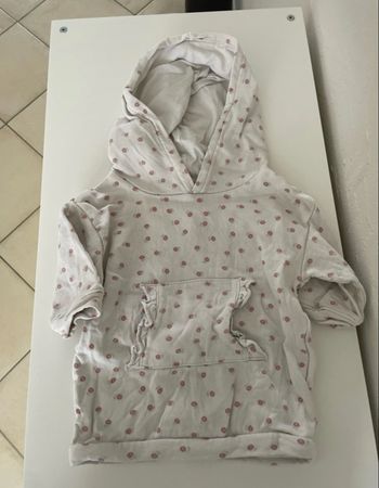 Pull à capuche 9 mois