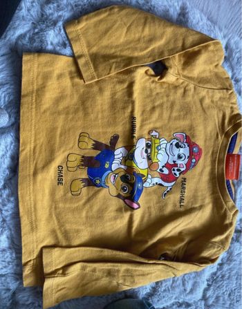 Lot T-shirt paw patrol