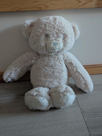 Ours en peluche