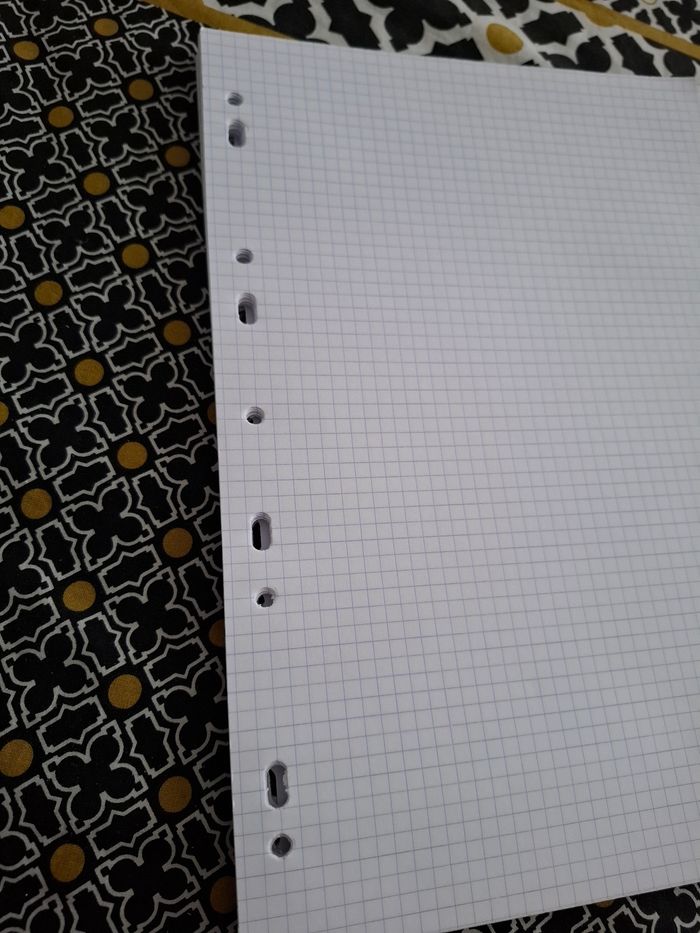 Feuilles simples petits carreaux - photo numéro 4