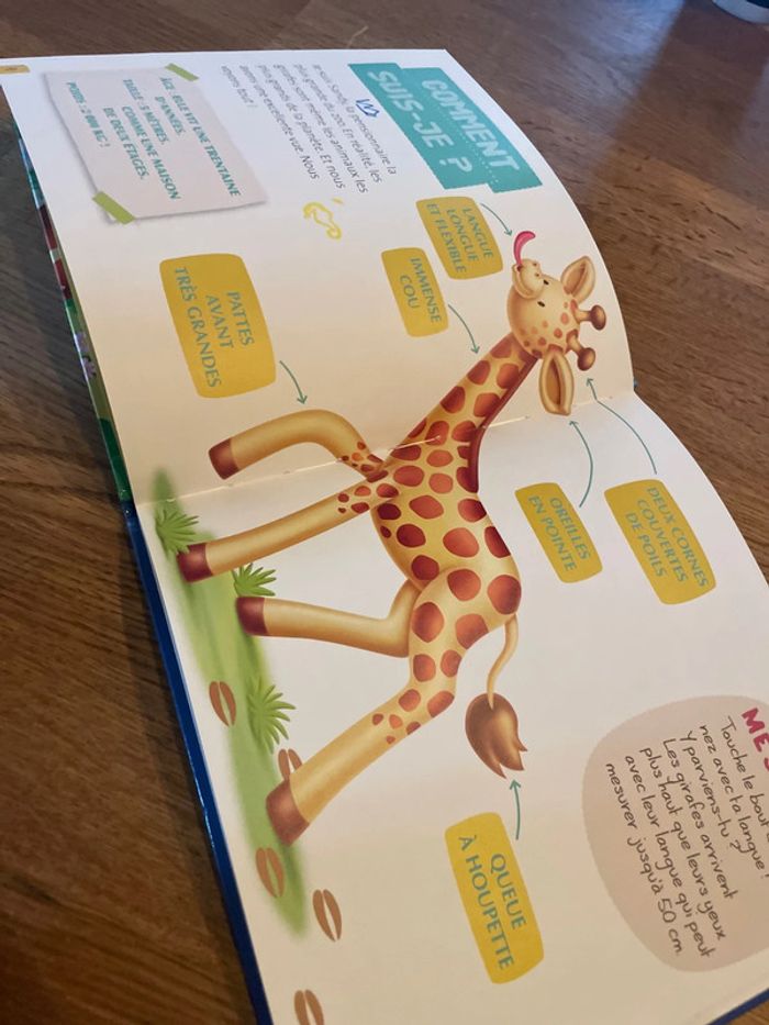 Livre collection Les animaux du zoo Sandy la girafe - photo numéro 8