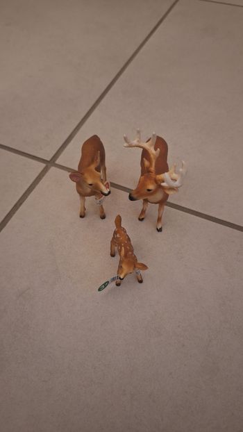 Figurines famille cerf de Virginie 