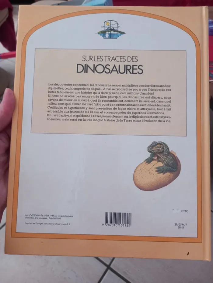 Sur les traces des dinosaures 🦕 - photo numéro 2