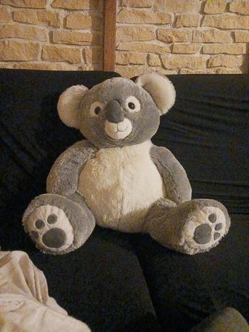 Peluche géante koala 🐨