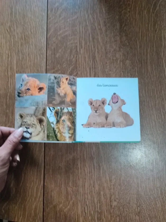 Livre mon Mini imagier des animaux - photo numéro 13