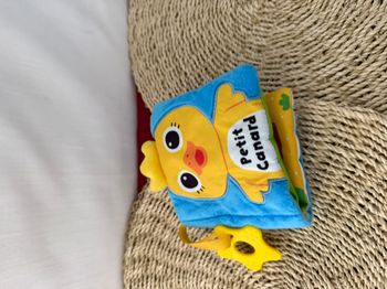 MON LIVRE TISSU A MÂCHOUILLER - PETIT CANARD