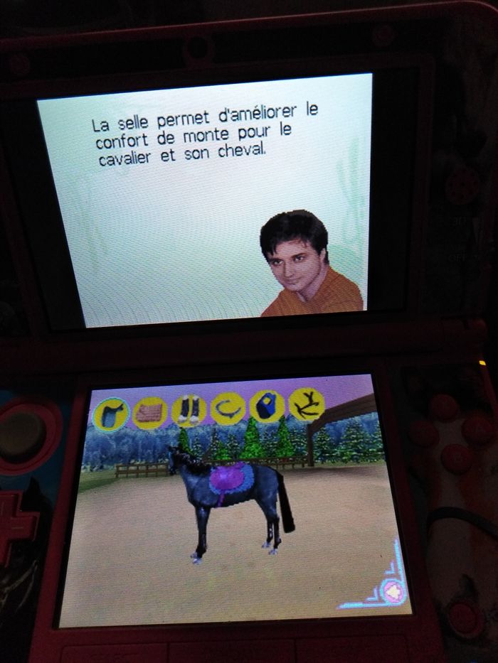 Jeu ds mon cheval et moi - photo numéro 8