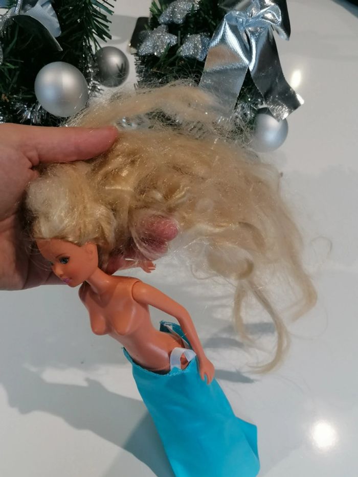 Lot 2 barbies 👧🏻 - photo numéro 11