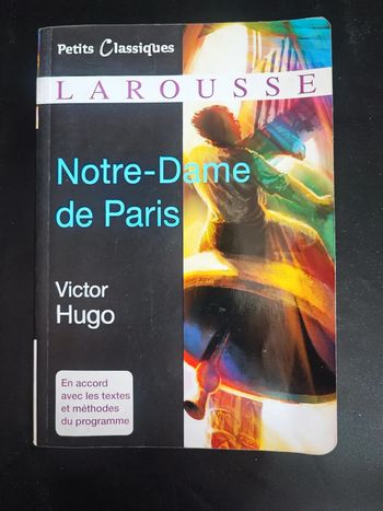 Notre dame de Paris