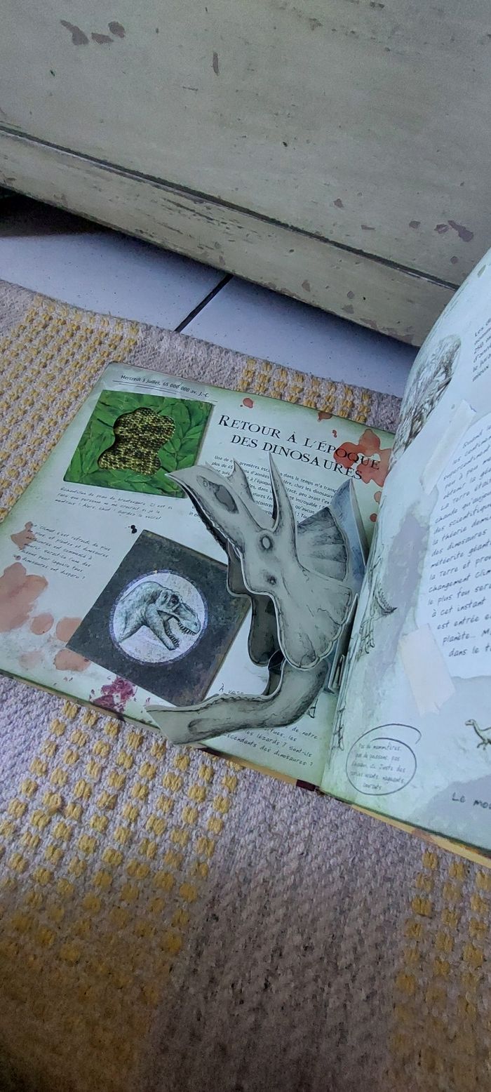 Livre Voyages à travers le
temps - Le journal de Robinson
Hermes - photo numéro 7