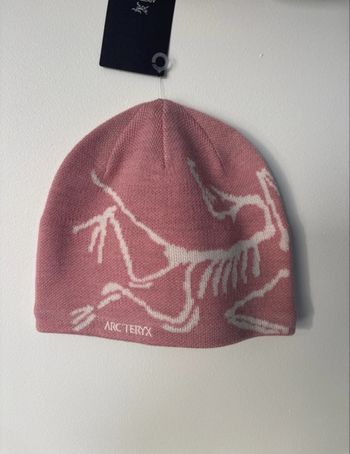 Bonnet Arc’teryx Bird Head – Bliss / Arctic Silk – Taille Unique 
