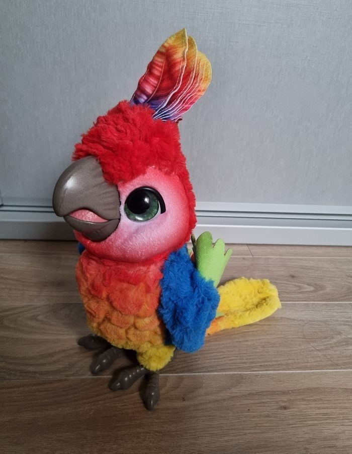 Perroquet interactive show coco - photo numéro 2