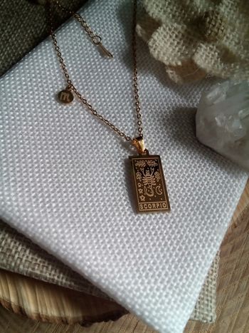 Collier signe du Scorpion 🦂 acier inoxydable