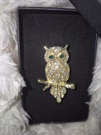 Belle broche hibou