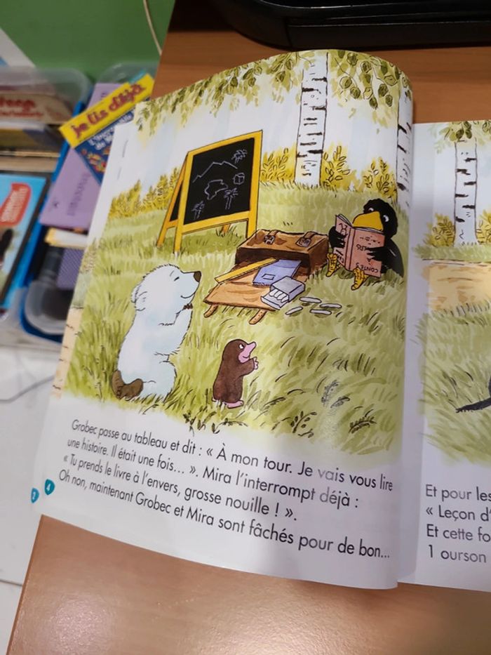 Toupie à l'école de flocon - photo numéro 3