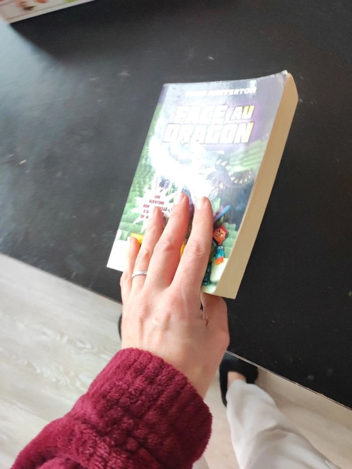 Face au dragon - photo numéro 3