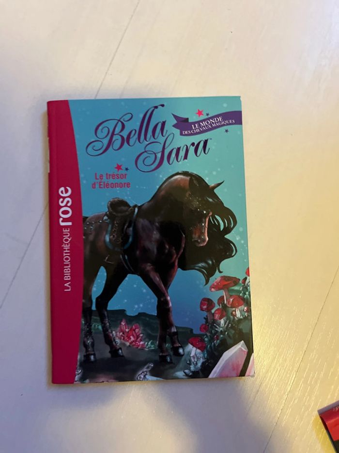 Collection Bella Sara de la Bibliothèque rose - photo numéro 3