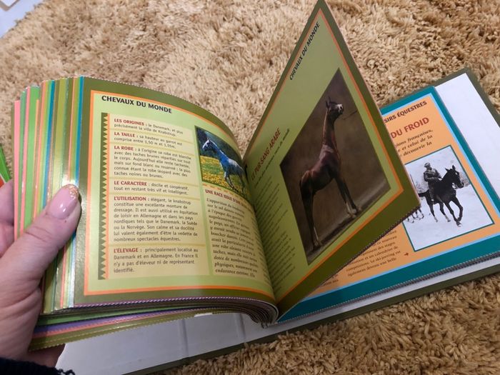 Classeur avec fiches chevaux - photo numéro 4