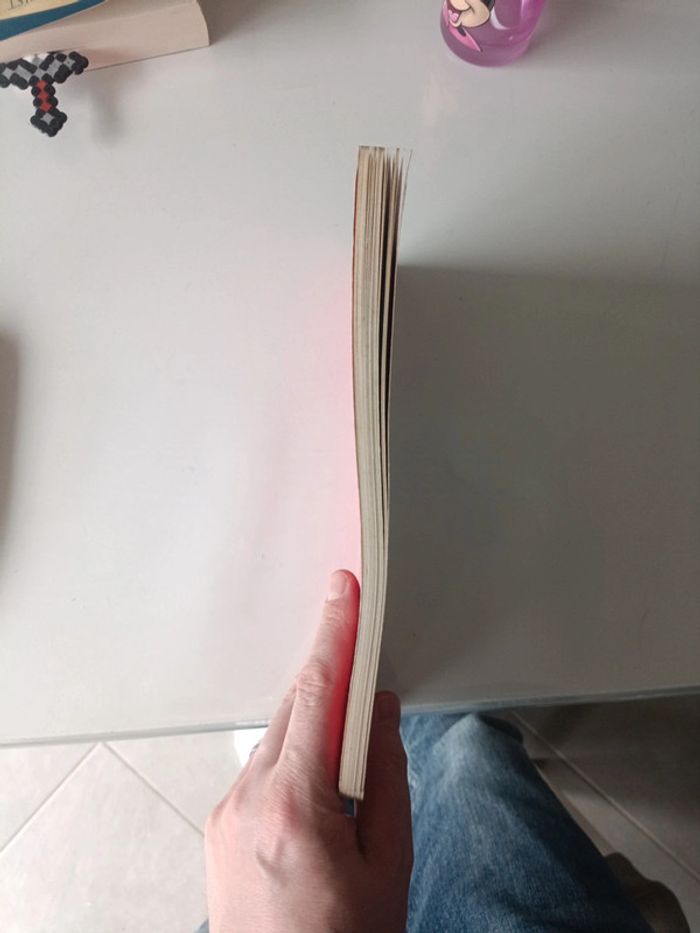 Guide Michelin - photo numéro 3