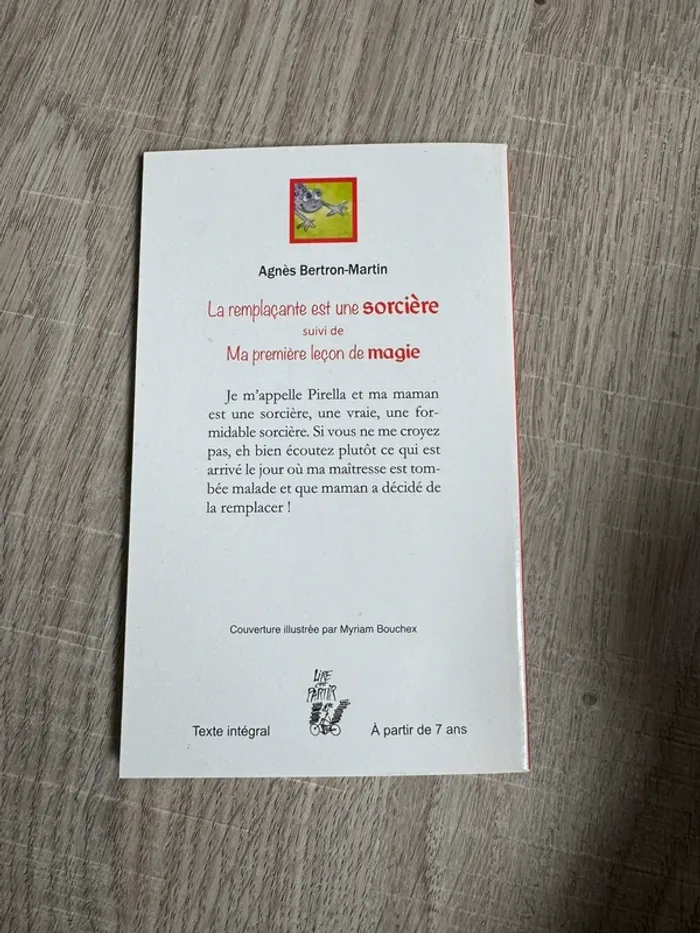 Livre la remplaçante est une sorcière - photo numéro 2