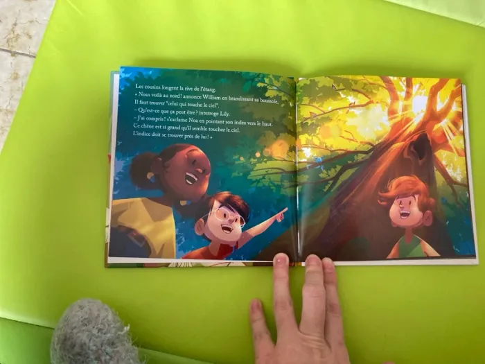 Livre McDo : la chasse au trésor en Sologne - photo numéro 3