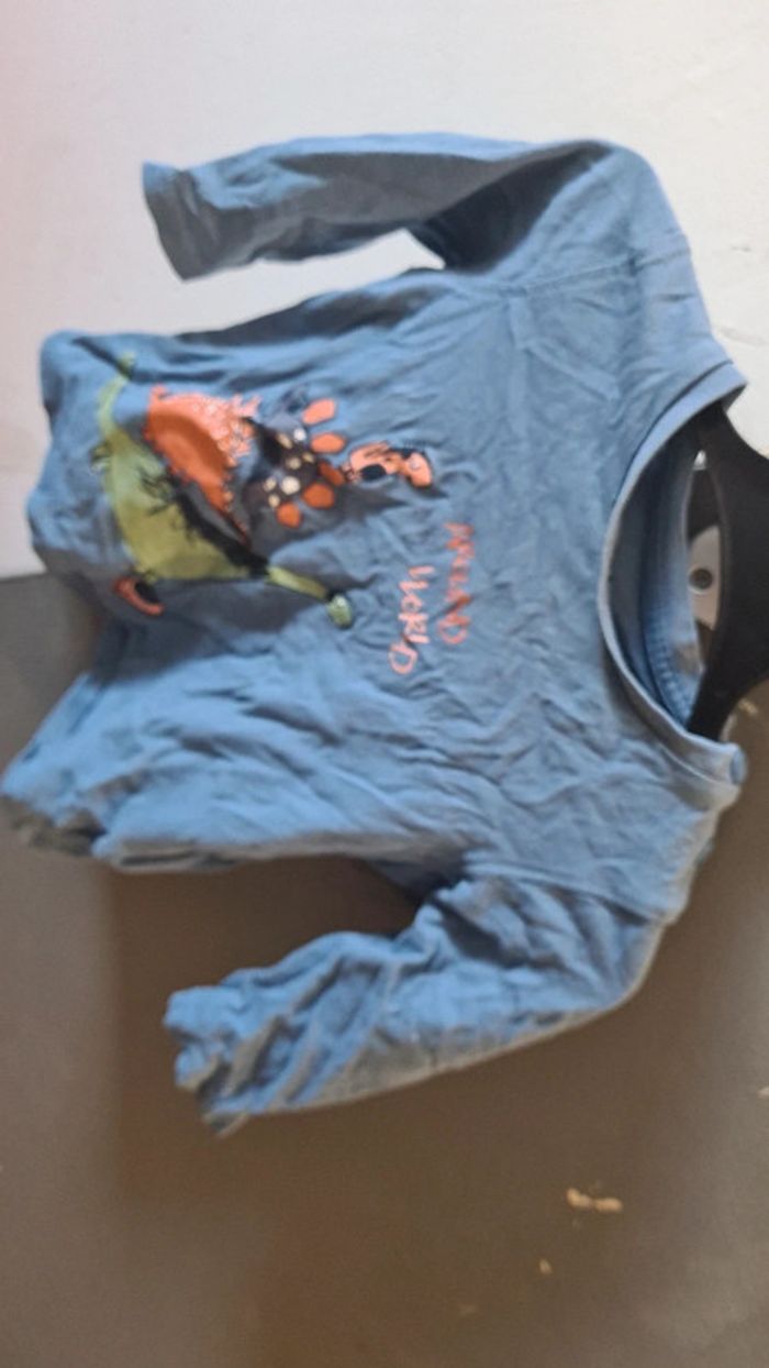 Tee-shirt dinosaures - photo numéro 2