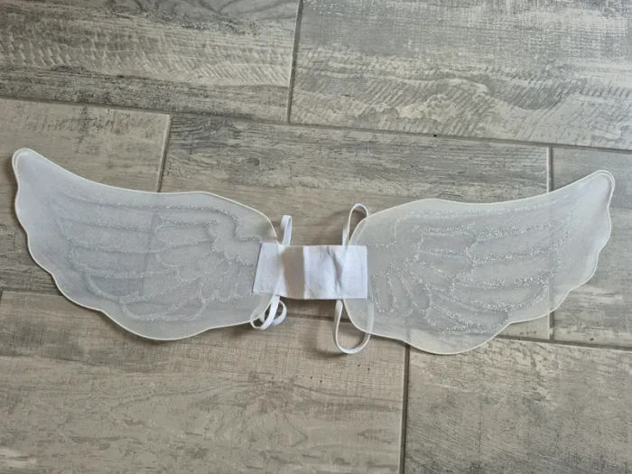 Ailes de fée