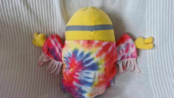 Minions - photo numéro 3