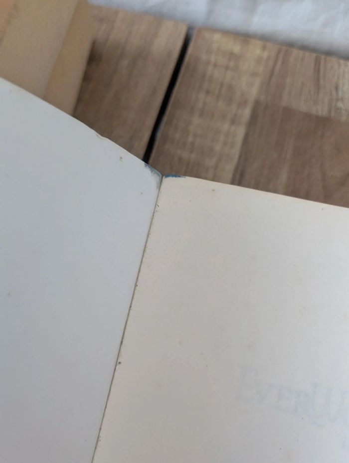 Lot livres Everworld - photo numéro 9
