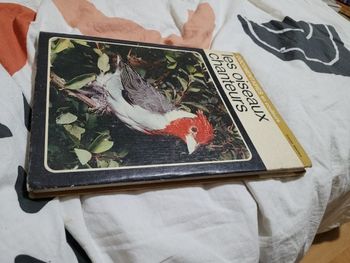 Les oiseaux chanteurs