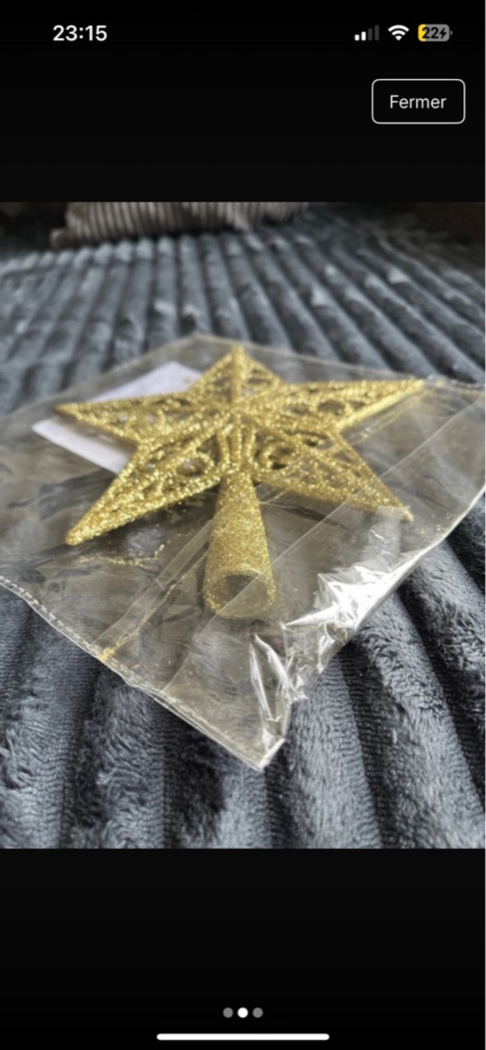 Étoile Noël - photo numéro 2