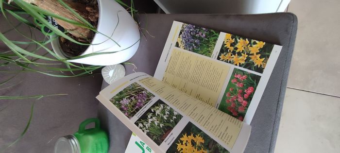 Lot 2 livres plantes - photo numéro 4