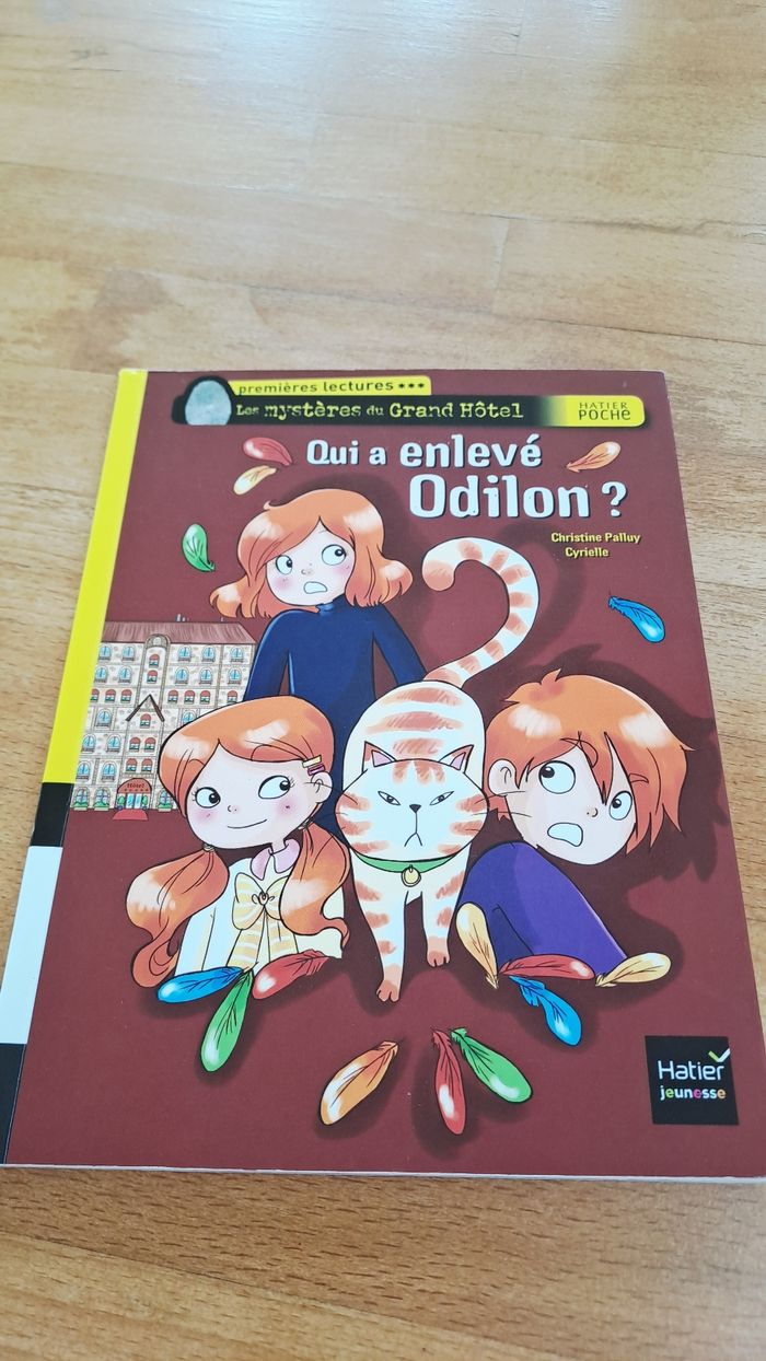 Qui a enlevé odilon