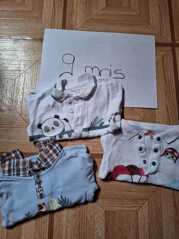 Lot 3 bodies