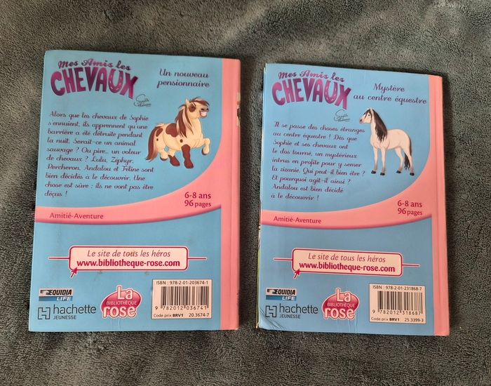 Mes amis les chevaux - photo numéro 2