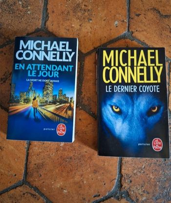 Lot de 2 romans