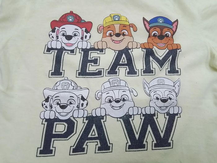 Tee shirt manche courte paw patrol 8A - photo numéro 2