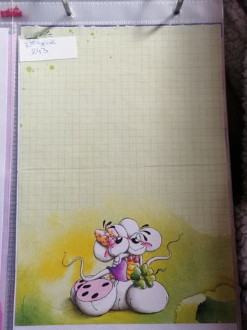 Lot(4) feuille diddl A5 à personnaliser