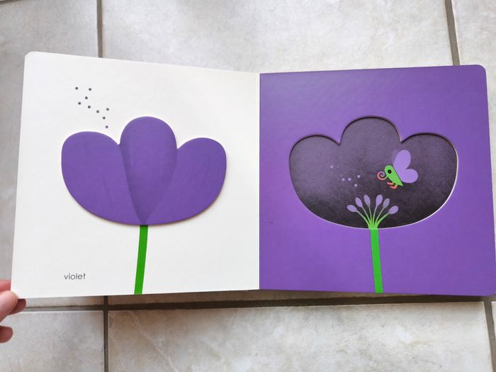 Livre sur les couleurs - photo numéro 6