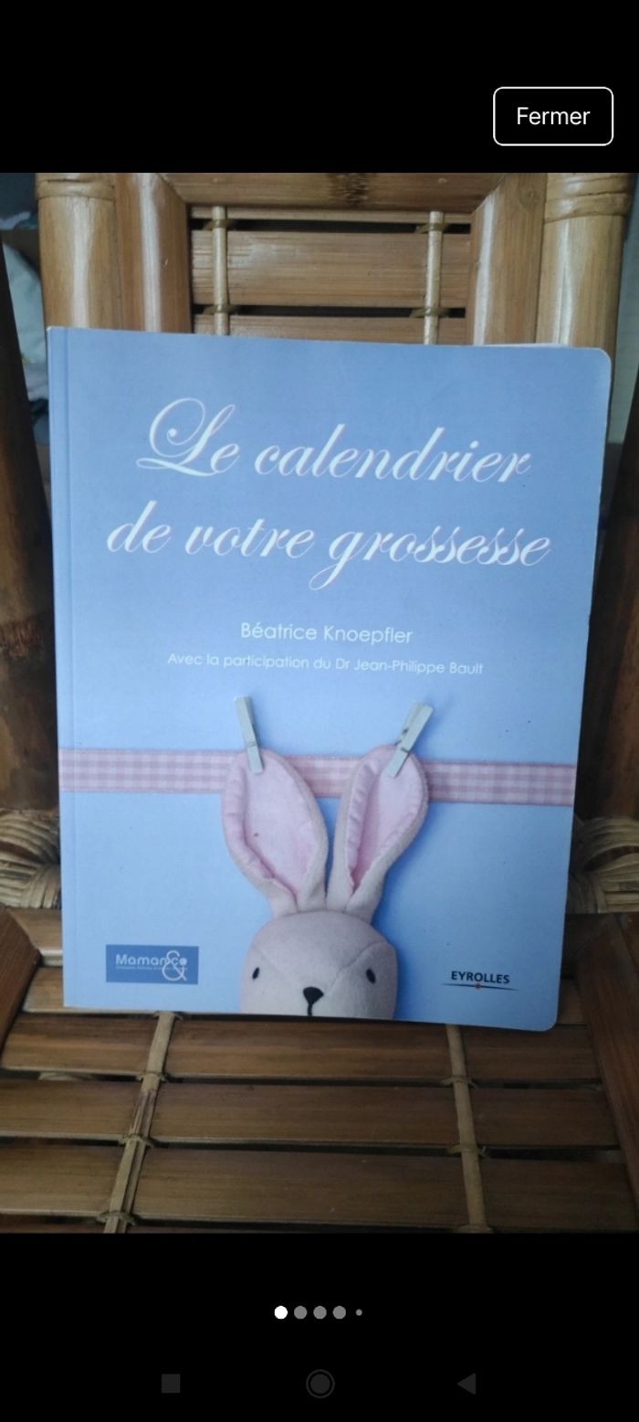 Le calendrier de votre grossesse - photo numéro 6